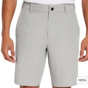 Banana Republic Light Gray Men's Shorts